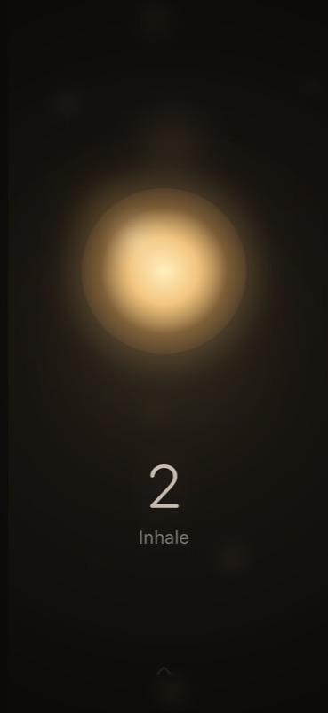 PacedBreath active breathing session with a glowing orb and inhale cue.