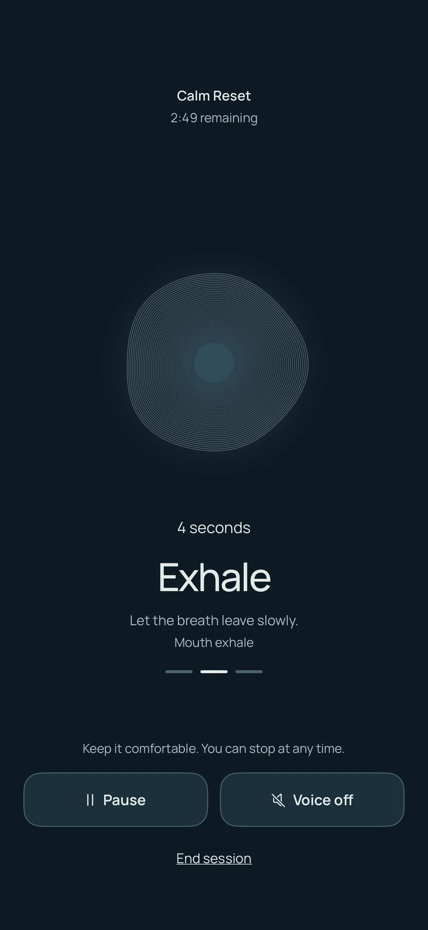An active Calm Reset session in the night palette: the contour form, the word Exhale, and Pause, Voice, and End session controls.